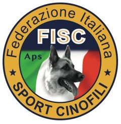 fisc.jpeg