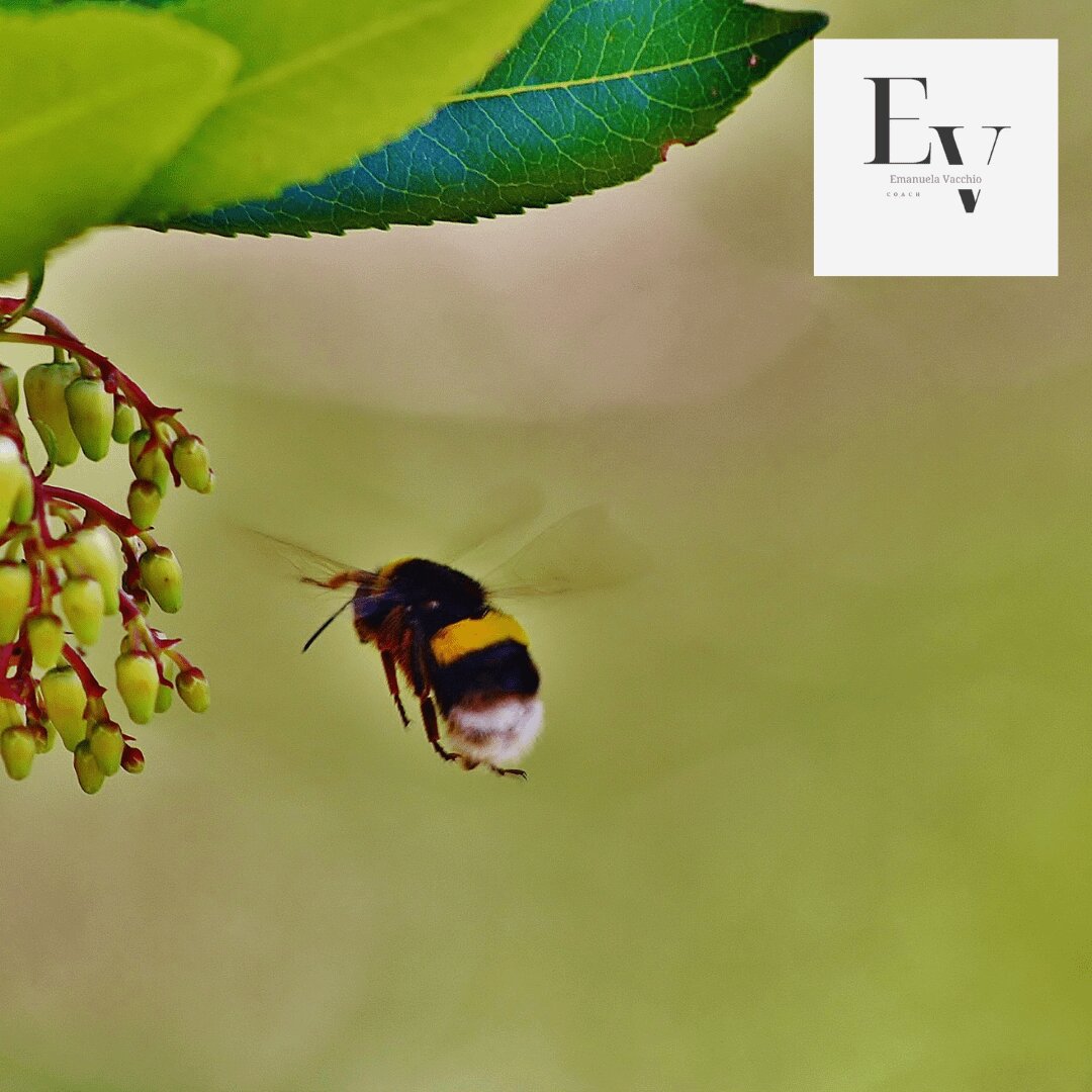 SBLOCCA IL TUO POTENZIALE