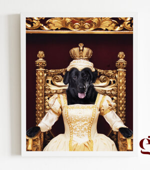 immagine%202026-04-16%20161547