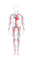 9a9ff3b002791317482c7c1075debcab69c4503b