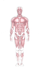 c7769c086ea33f16c79dbf655c8ec757e032b1e4