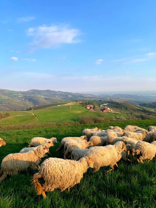 22bcf72f2cf46f3f4dad30a8bb109bd8c56278b2 22bcf72f2cf46f3f4dad30a8bb109bd8c56278b2