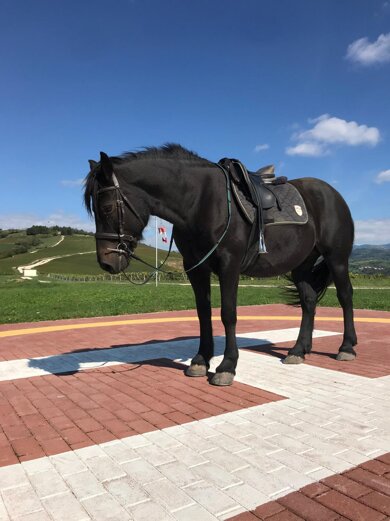 3c7a5817a680e82236ac1aa1082dfe95997d52e0 3c7a5817a680e82236ac1aa1082dfe95997d52e0