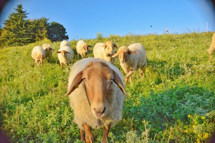 55e9442bed43f0f803a69deab46149f08bd5829f 55e9442bed43f0f803a69deab46149f08bd5829f