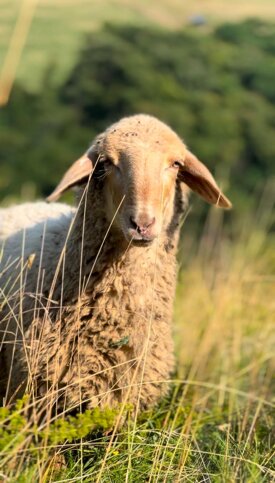 80388c4e76bd9b0e511c7c4bbb535898823ac849 80388c4e76bd9b0e511c7c4bbb535898823ac849