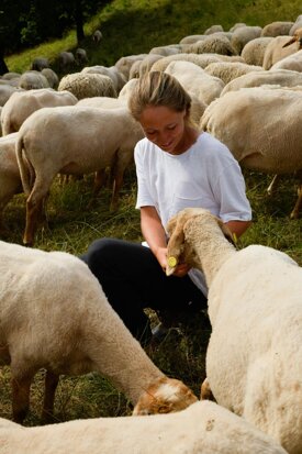 ea7fe13be2eea84b180d3223dc9faa78d6576108 ea7fe13be2eea84b180d3223dc9faa78d6576108