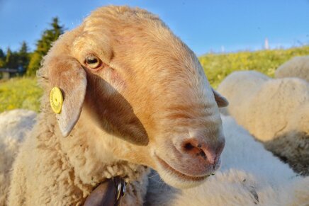 f8340f472f9eaf65b4ab2df5c95b2a89fb5f2602 f8340f472f9eaf65b4ab2df5c95b2a89fb5f2602