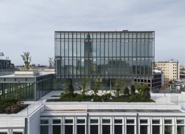 immagine 29.jpeg immagine 29.jpeg