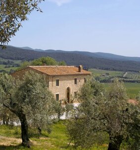 immagine.jpeg immagine.jpeg