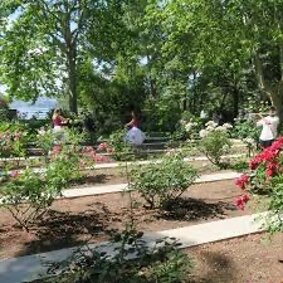 immagine 8.jpeg immagine 8.jpeg