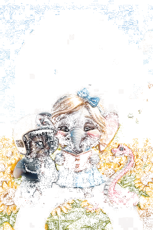 adobe express - whatsapp video 2026-02-15 at 15.07.58