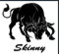 logo skinny.jpeg