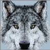 logo wulf