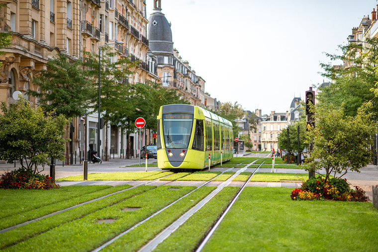trasportigreen.jpeg trasportigreen.jpeg