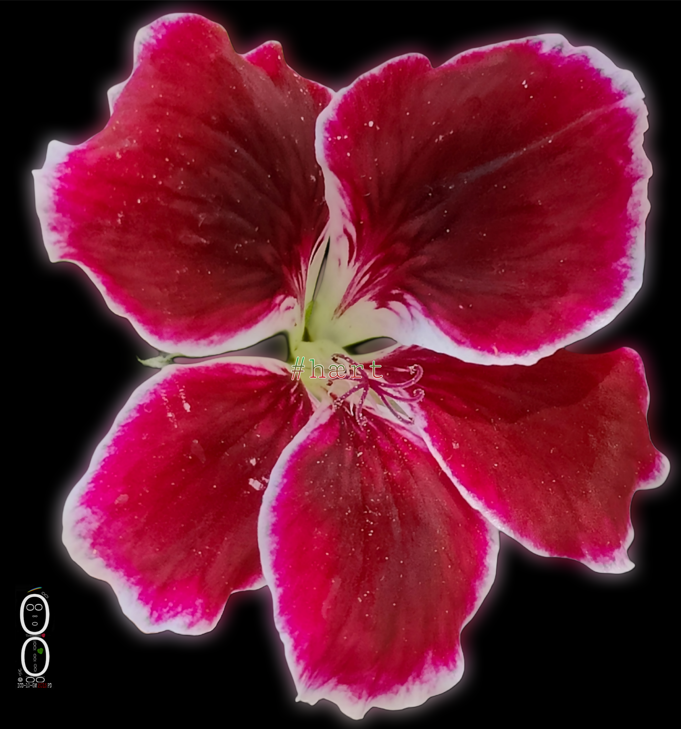 picsart_26-08-05_15-55-55-504.png