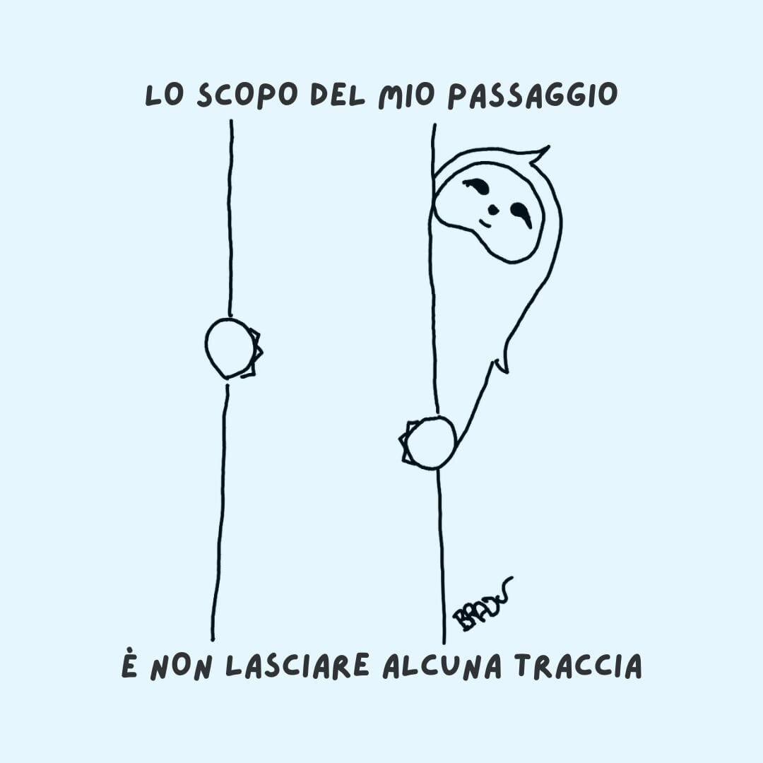 bradu----segni.jpeg bradu----segni.jpeg