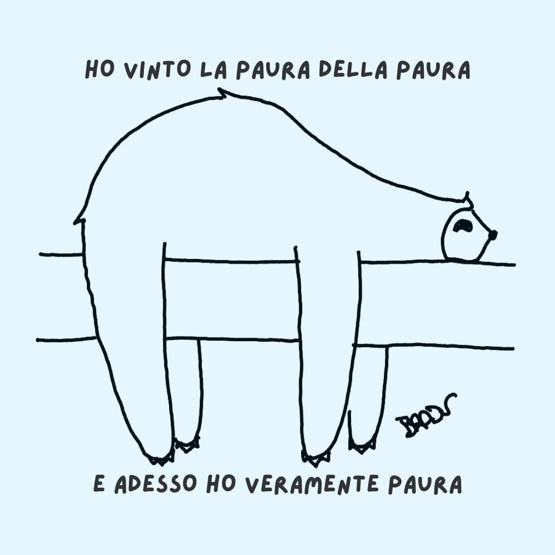 bradu----paure-.jpeg bradu----paure-.jpeg