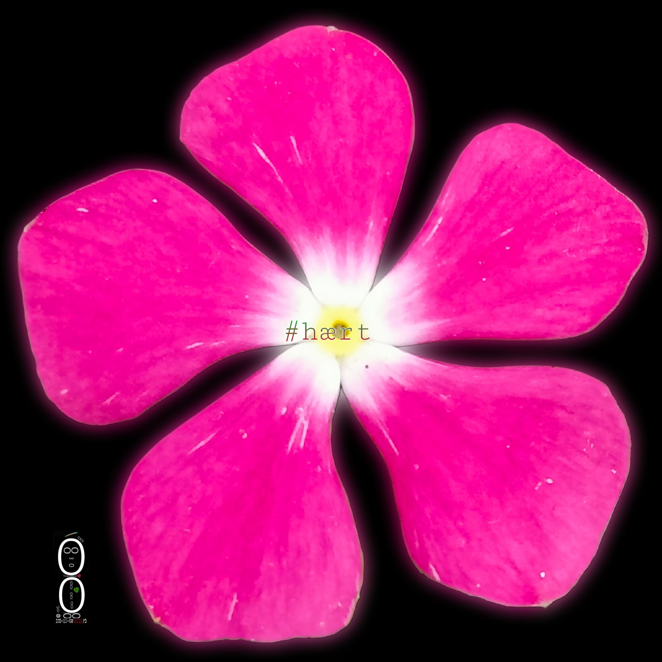 picsart_26-07-23_14-55-27-836.jpeg