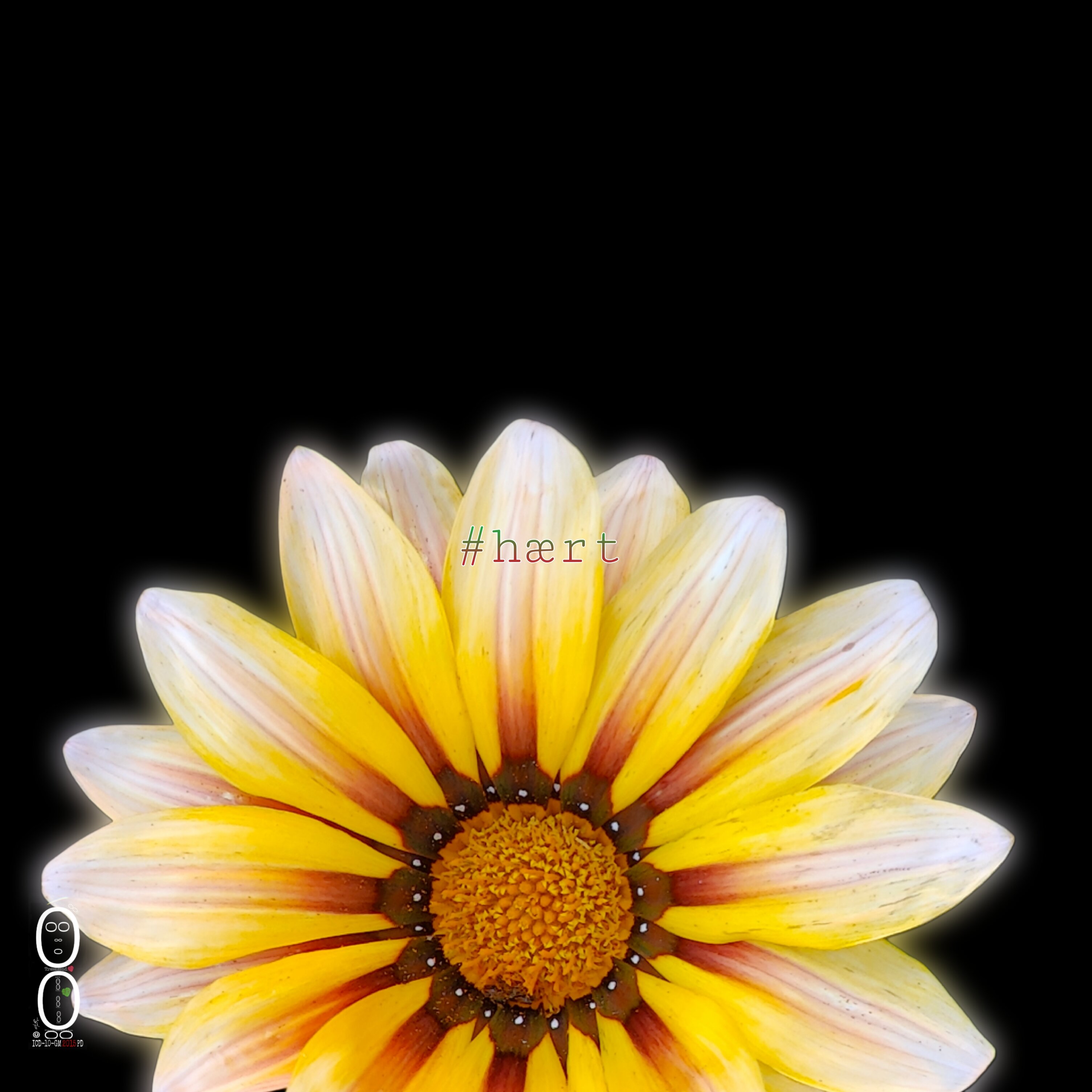 picsart_26-05-27_13-00-23-818.jpeg