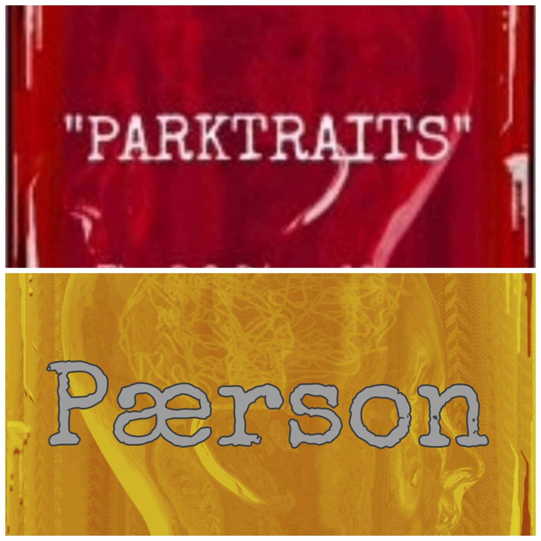 PÆRSON" e "PARKTRAITS (Radio Parkies intervista l'autore Gerardo Regnani)
