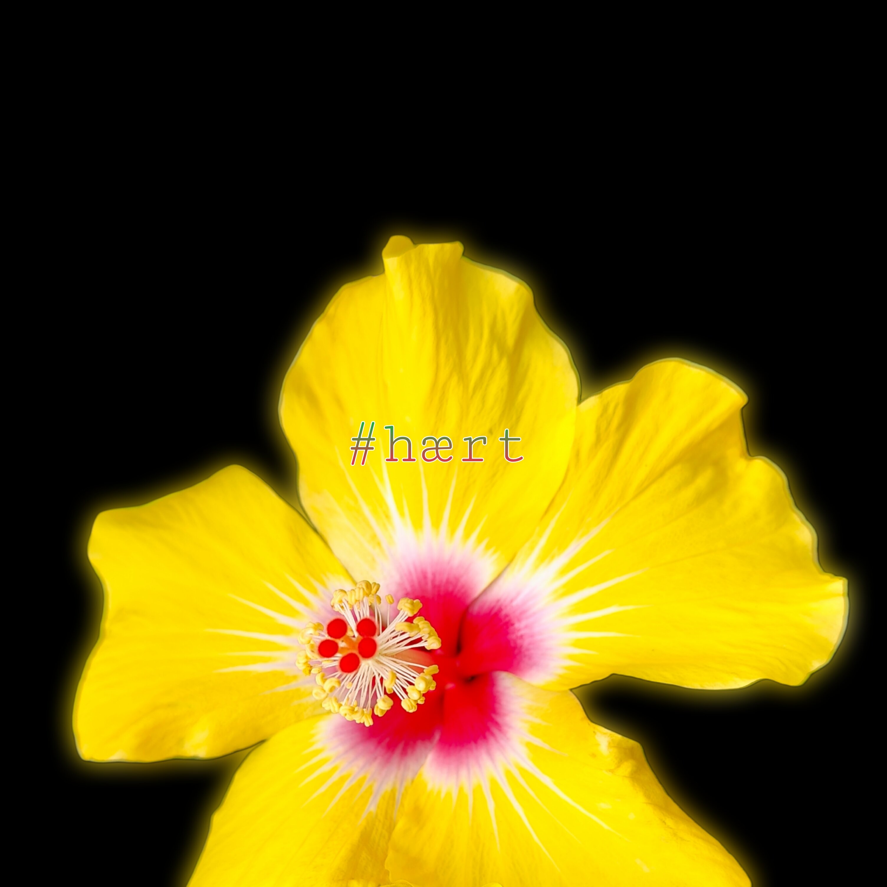 picsart_26-05-04_15-30-23-126.jpeg