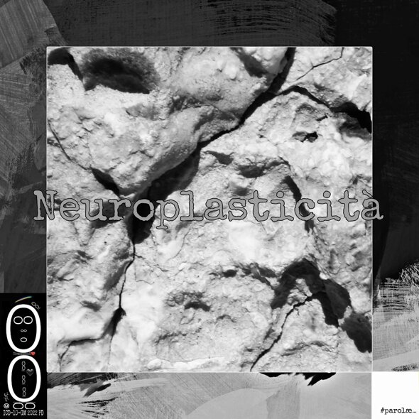 picsart_25-02-06_20-51-17-526 (2).jpeg