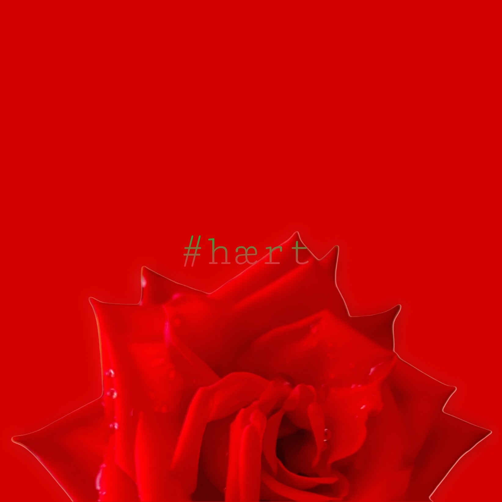 picsart_26-05-01_07-24-41-855.jpeg