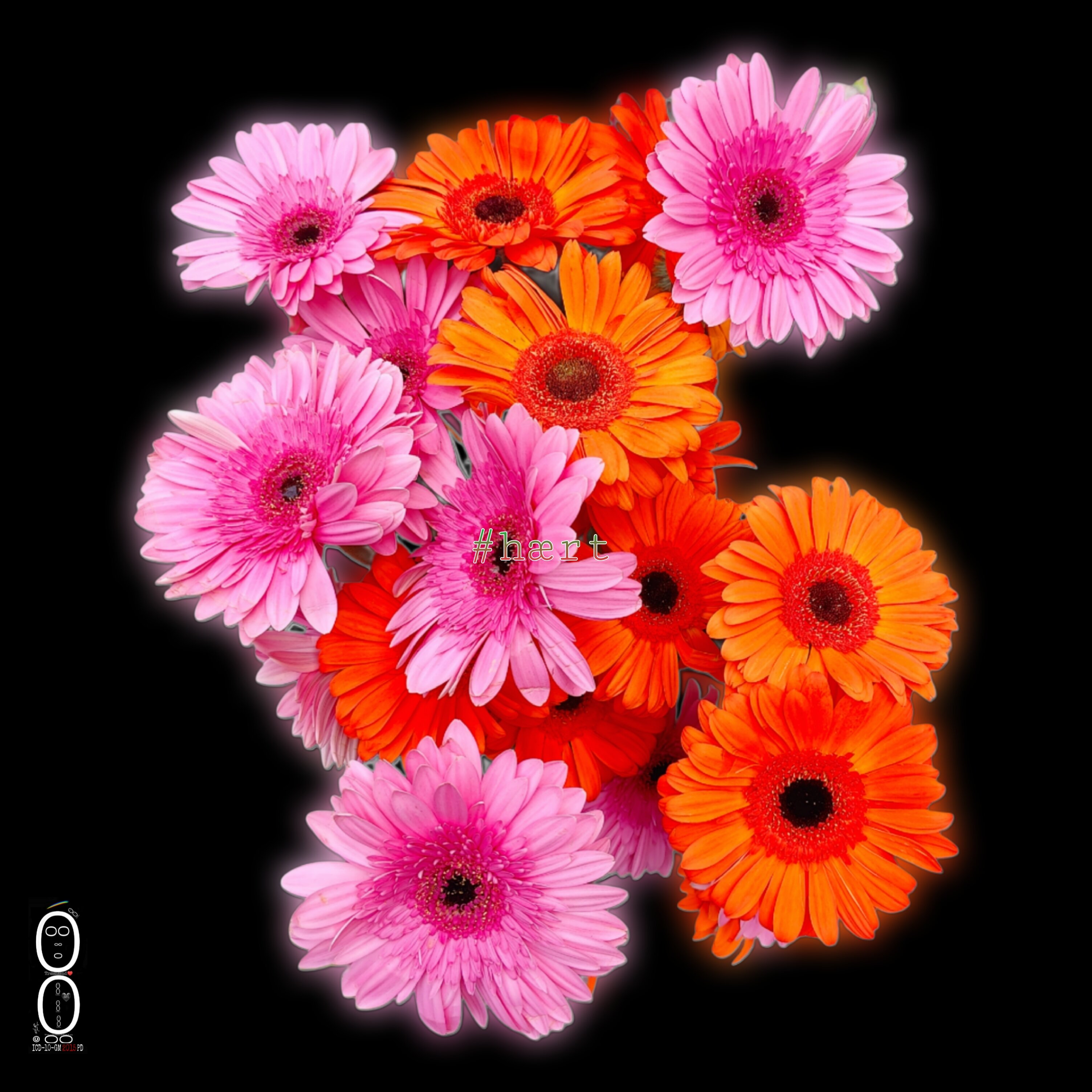 picsart_26-05-05_14-33-23-418.jpeg