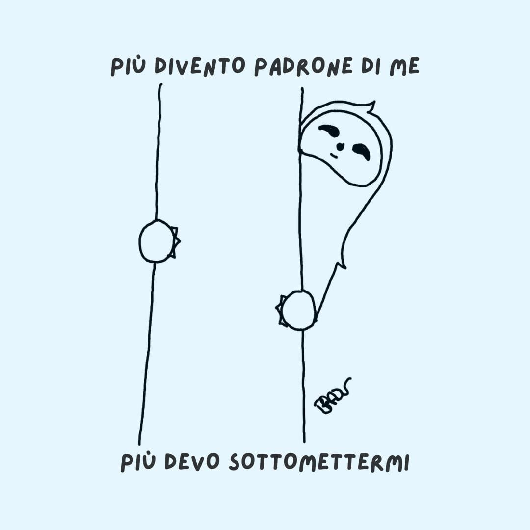 bradu----padronanza.jpeg bradu----padronanza.jpeg