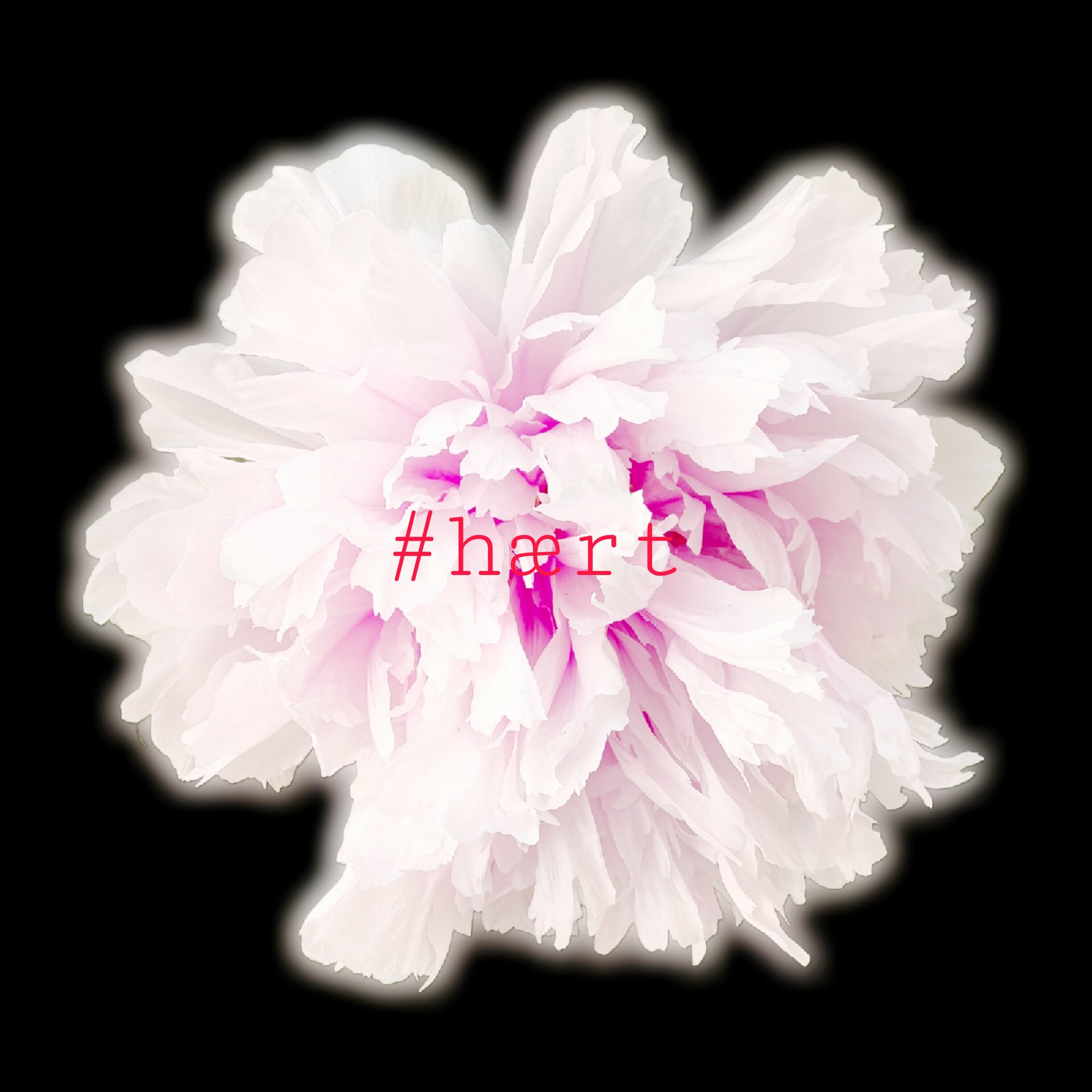 picsart_26-03-26_15-16-12-871.jpeg