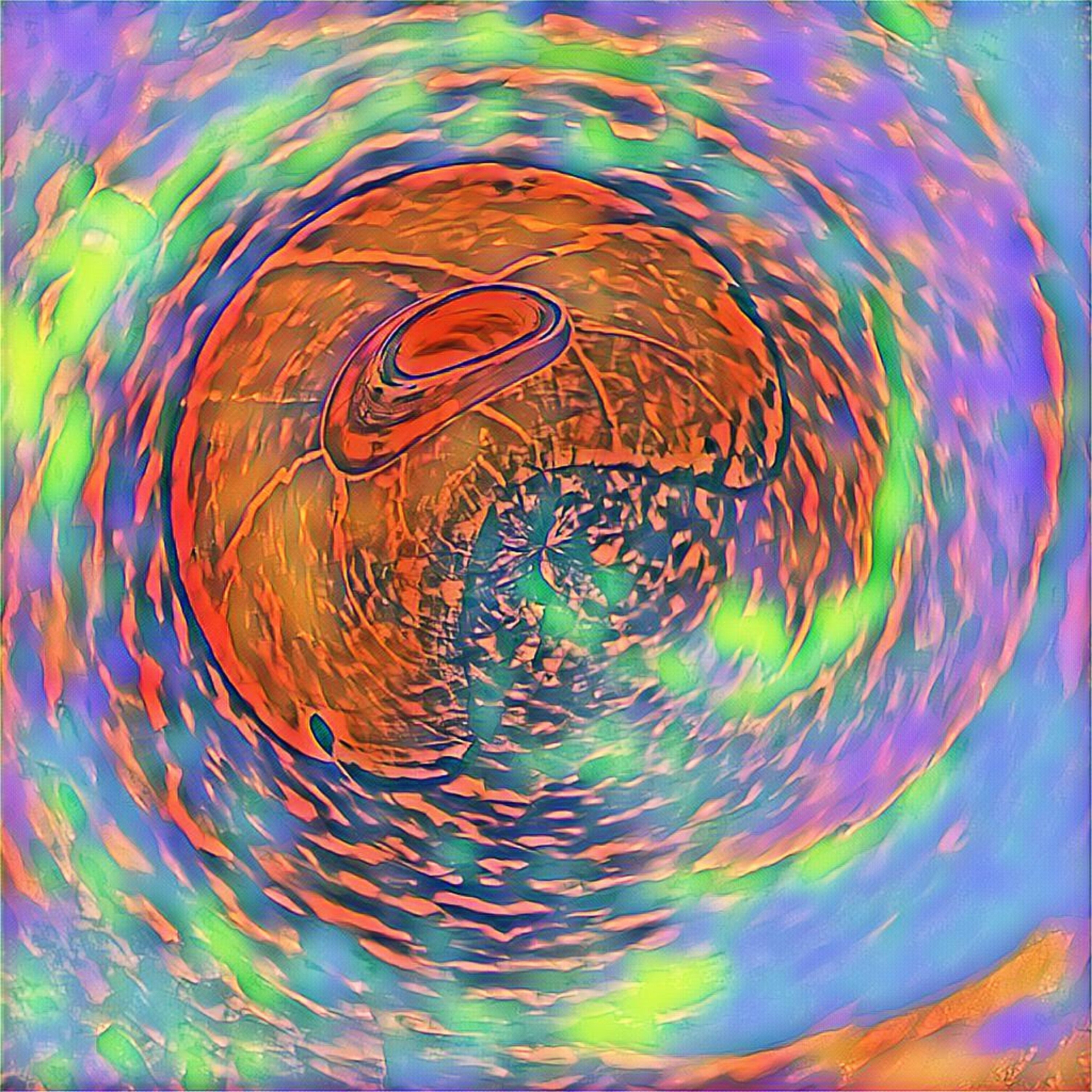87e95ed9a318d42ab8511e312302c41c40a0bf29.jpg