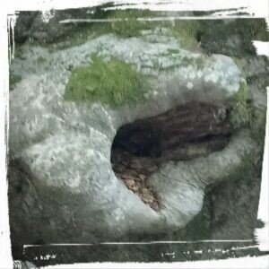 Il corpo di Umberto Galimberti - Una "fotografia" tra natura e cultura