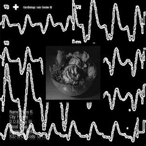b5dff29c700258d010fd295700c4cbe297fe4a8d.jpg b5dff29c700258d010fd295700c4cbe297fe4a8d.jpg