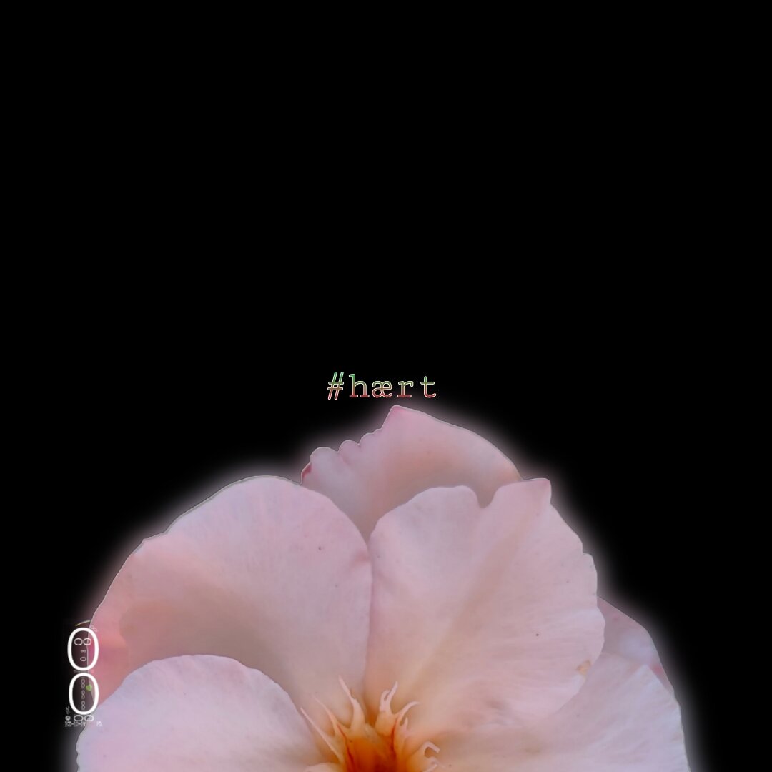 picsart_26-07-11_16-03-10-030.jpeg