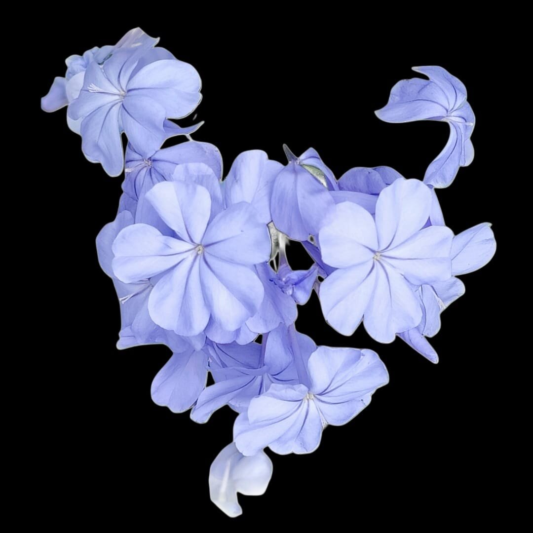 baa5aa461cad85428b3023c48df094e70e5df81e.jpeg baa5aa461cad85428b3023c48df094e70e5df81e.jpeg