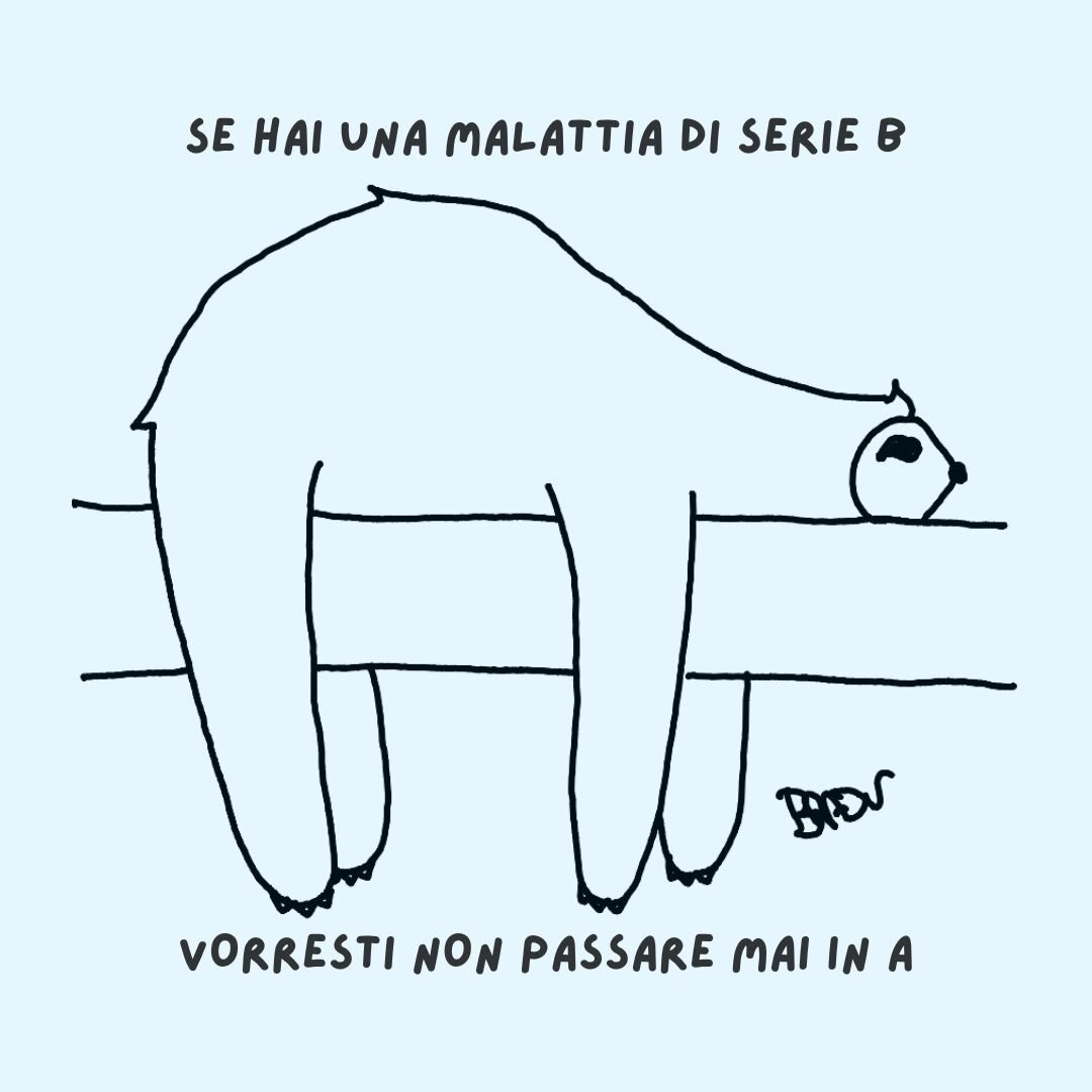 bradu----promozione.jpeg bradu----promozione.jpeg