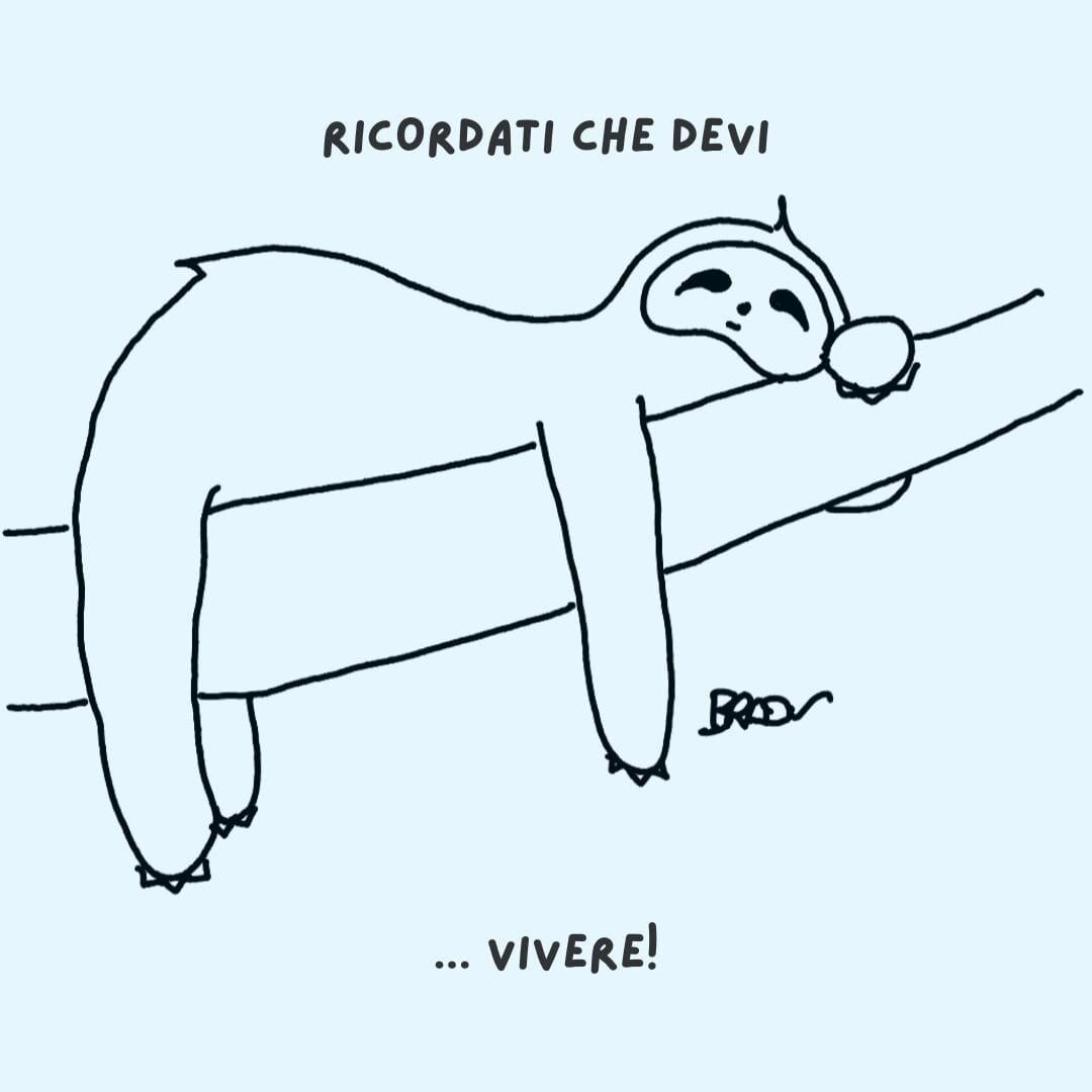 bradu----memento.jpeg bradu----memento.jpeg