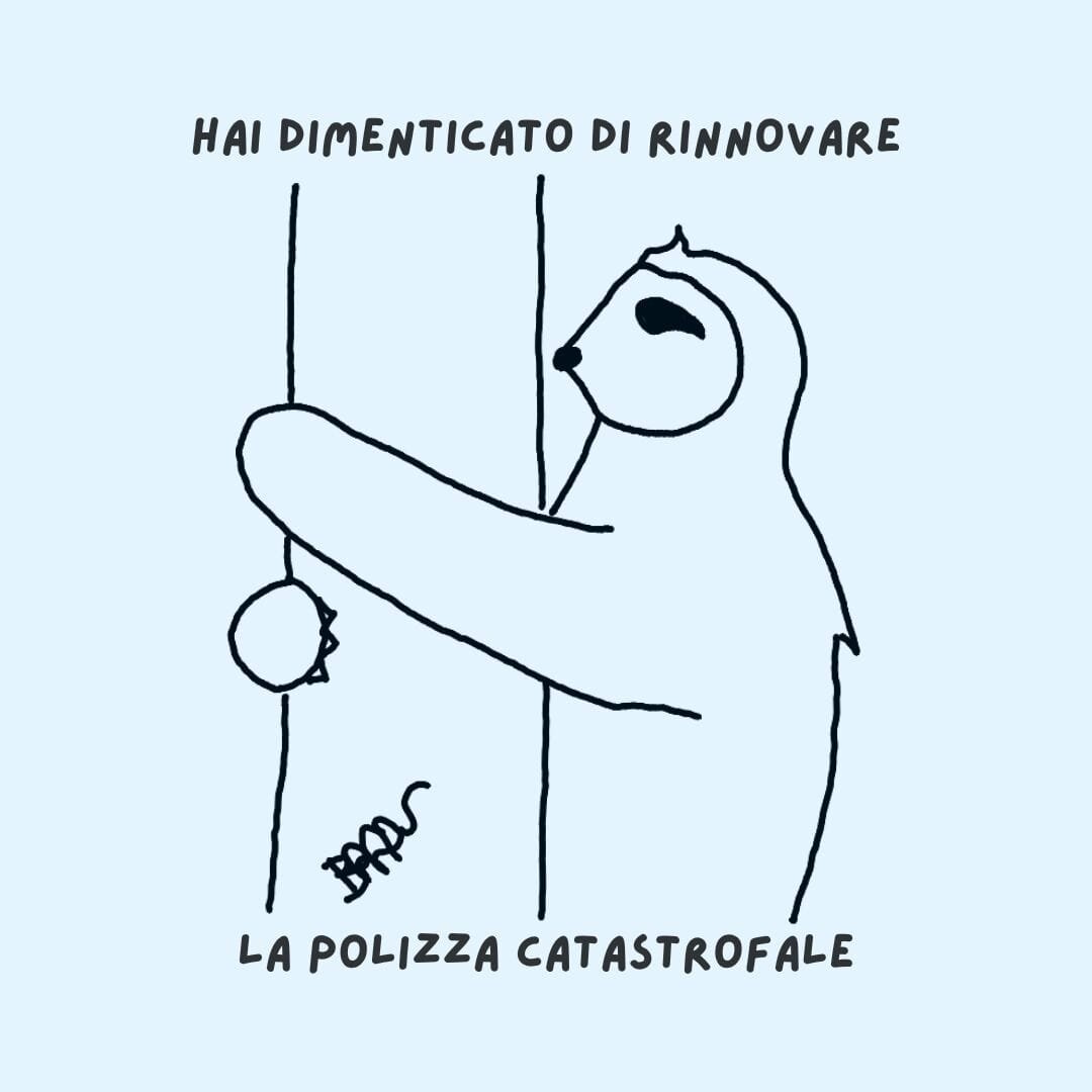 bradu---disastro.jpeg bradu---disastro.jpeg