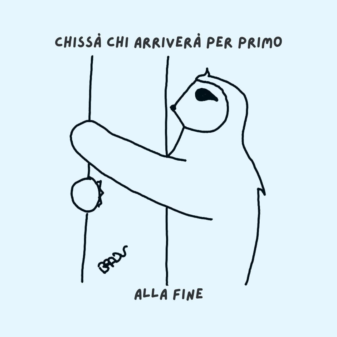 bradu----competizione.jpeg bradu----competizione.jpeg