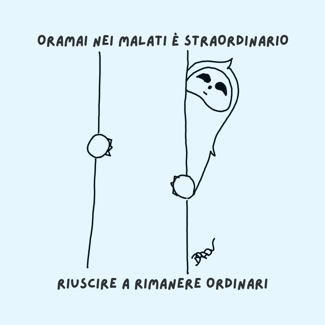 bradu----stra-ordinario.jpeg bradu----stra-ordinario.jpeg