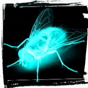 LA MOSCA METALLICA
