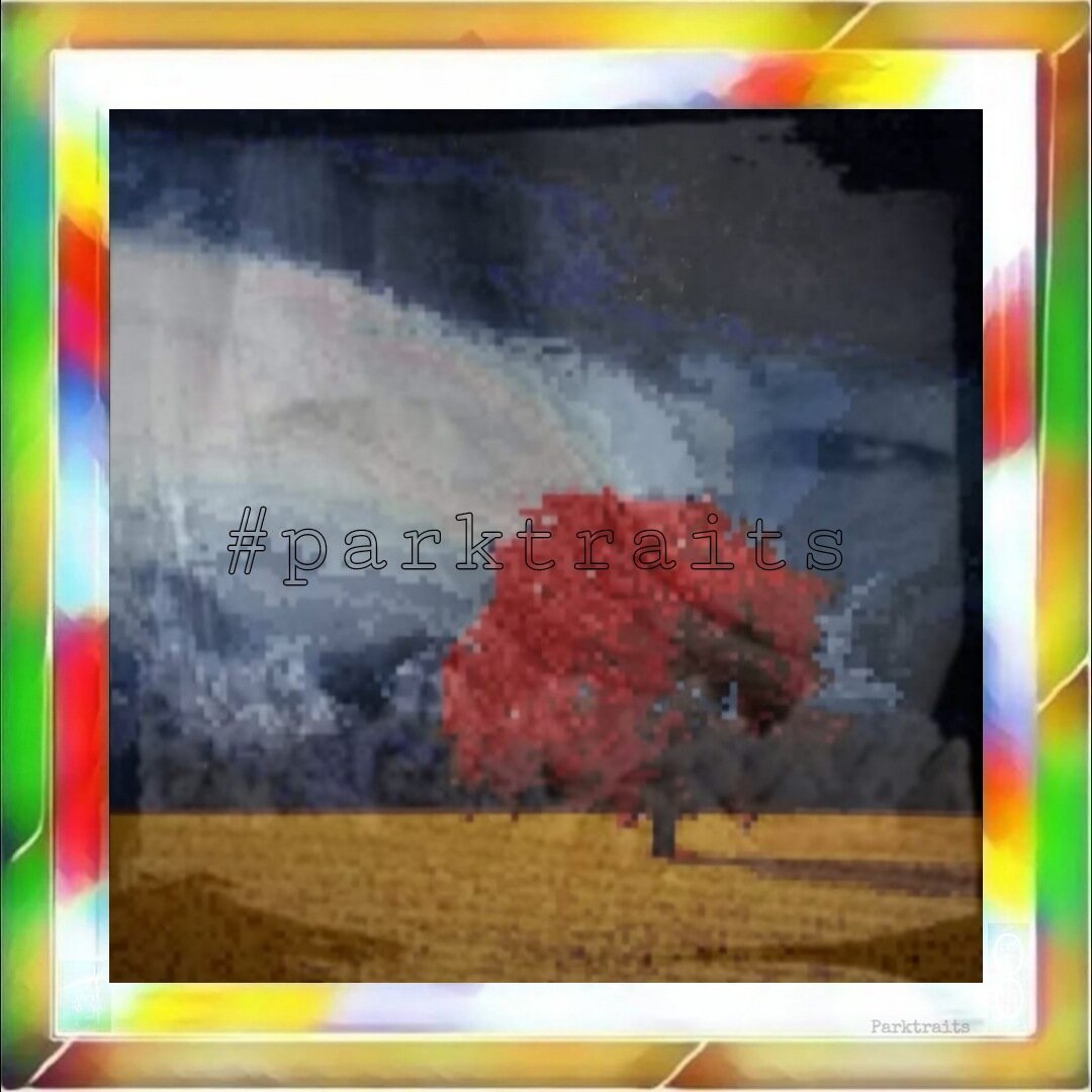 L'OPERA / THE WORK (Parktraits stories)