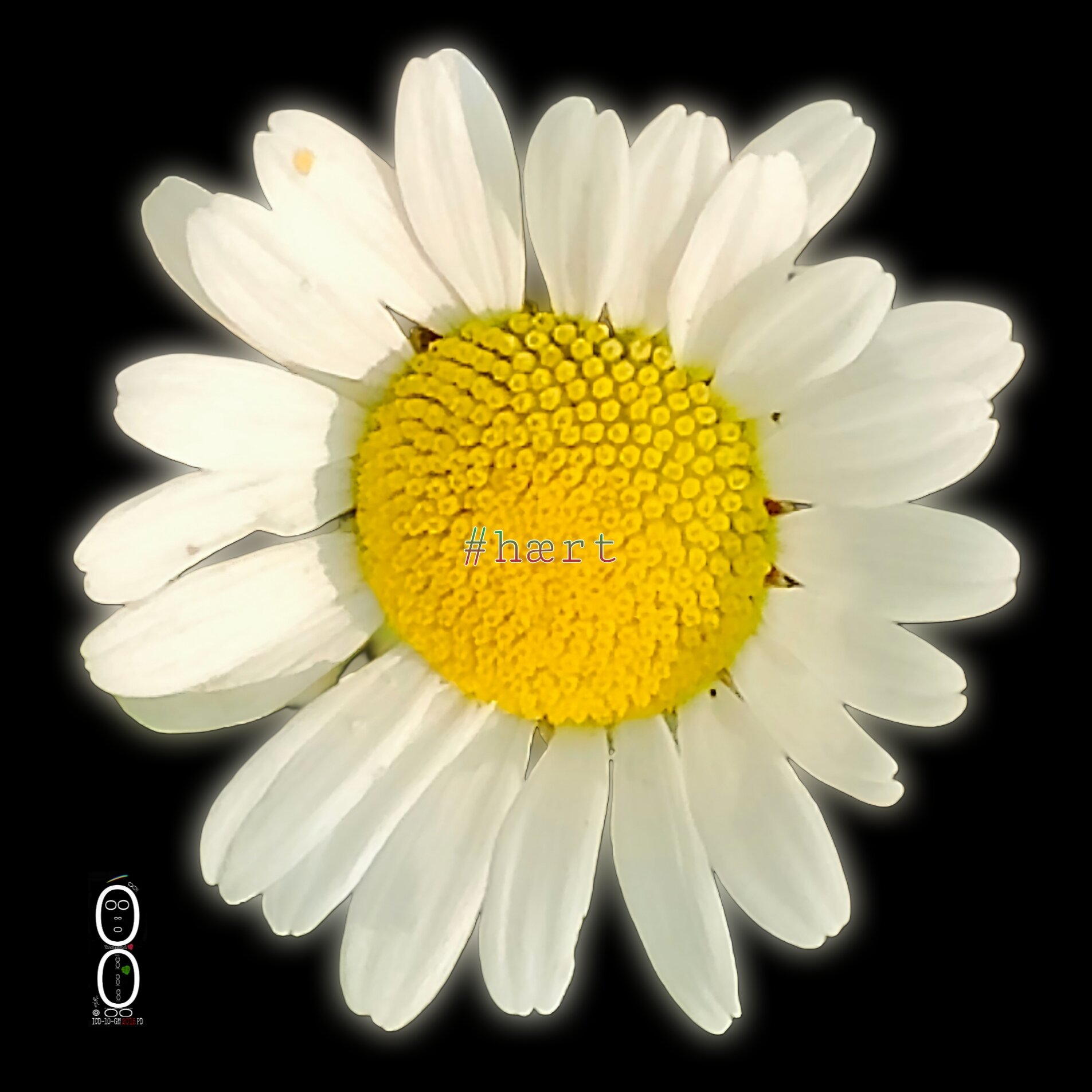 picsart_26-07-22_15-30-28-519.jpeg
