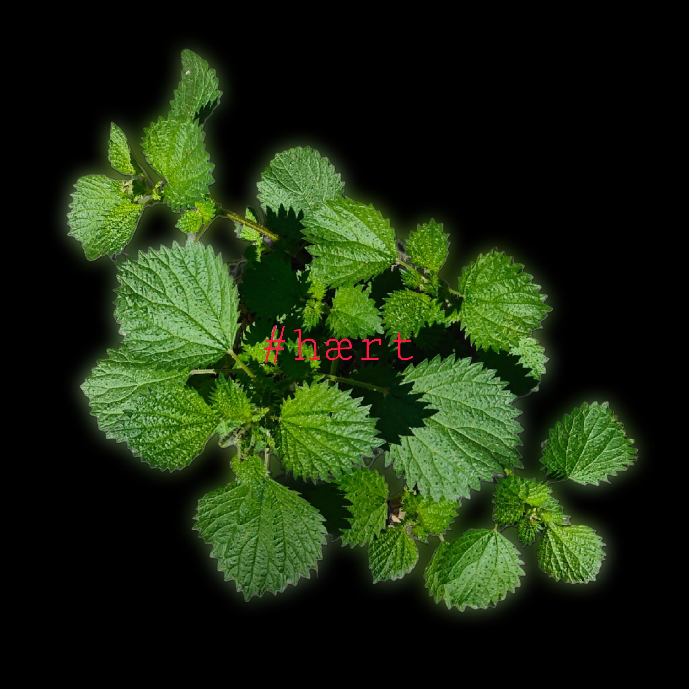 picsart_26-03-18_12-45-52-394.jpeg
