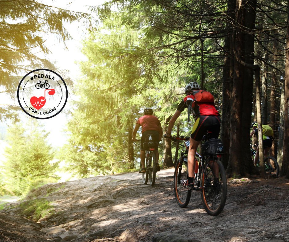 I Benefici delle Uscite Guidate di Gruppo in Bicicletta