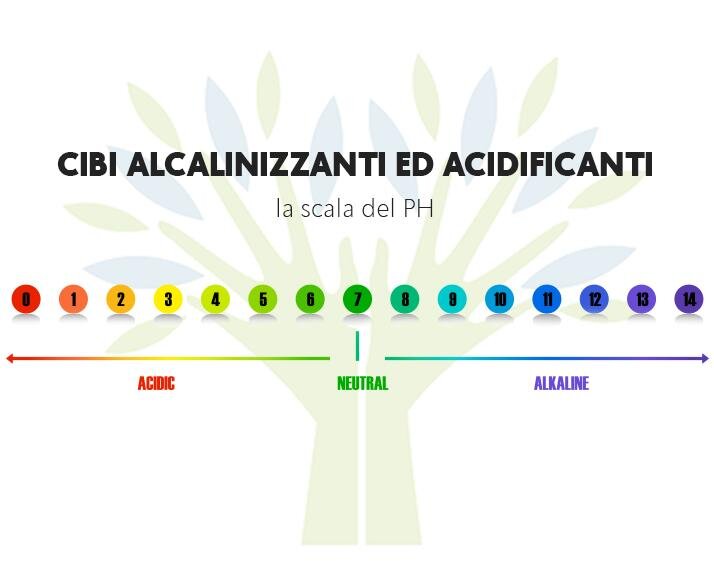 Potential Renal Acid Load (effetto acido-base dei cibi)