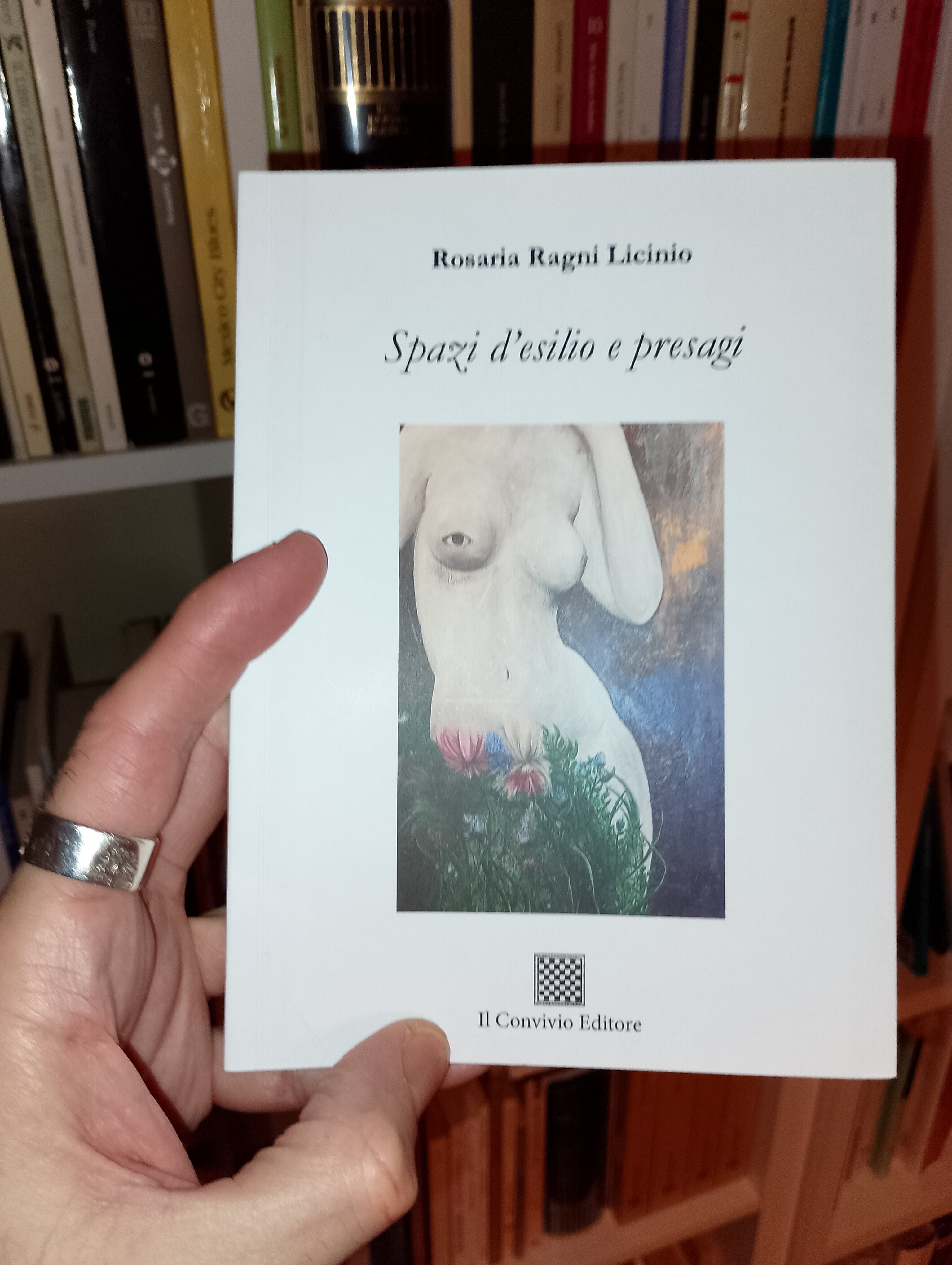 La nicchia - numero 106 - Il fuoco di Rosaria Ragni Licinio