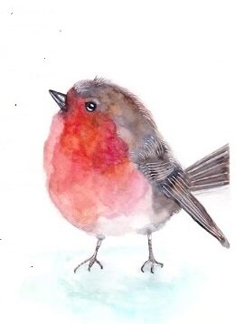 La nicchia - numero 107 - Il pettirosso nel linguaggio poetico di Emily Dickinson