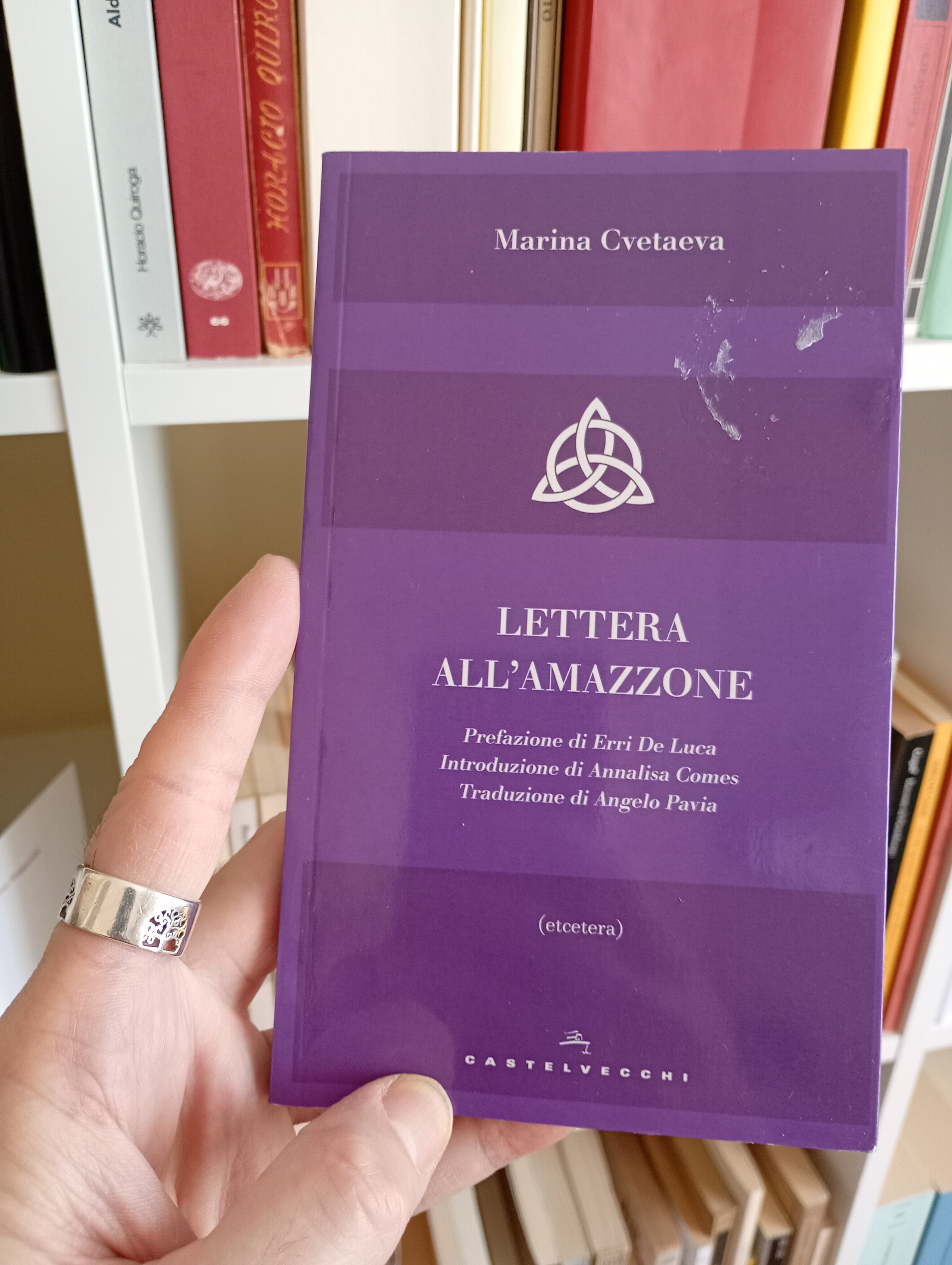 La nicchia - numero 115 - Amazzoni nella douce France: Natalie Clifford Barney e Marina Cvetaeva