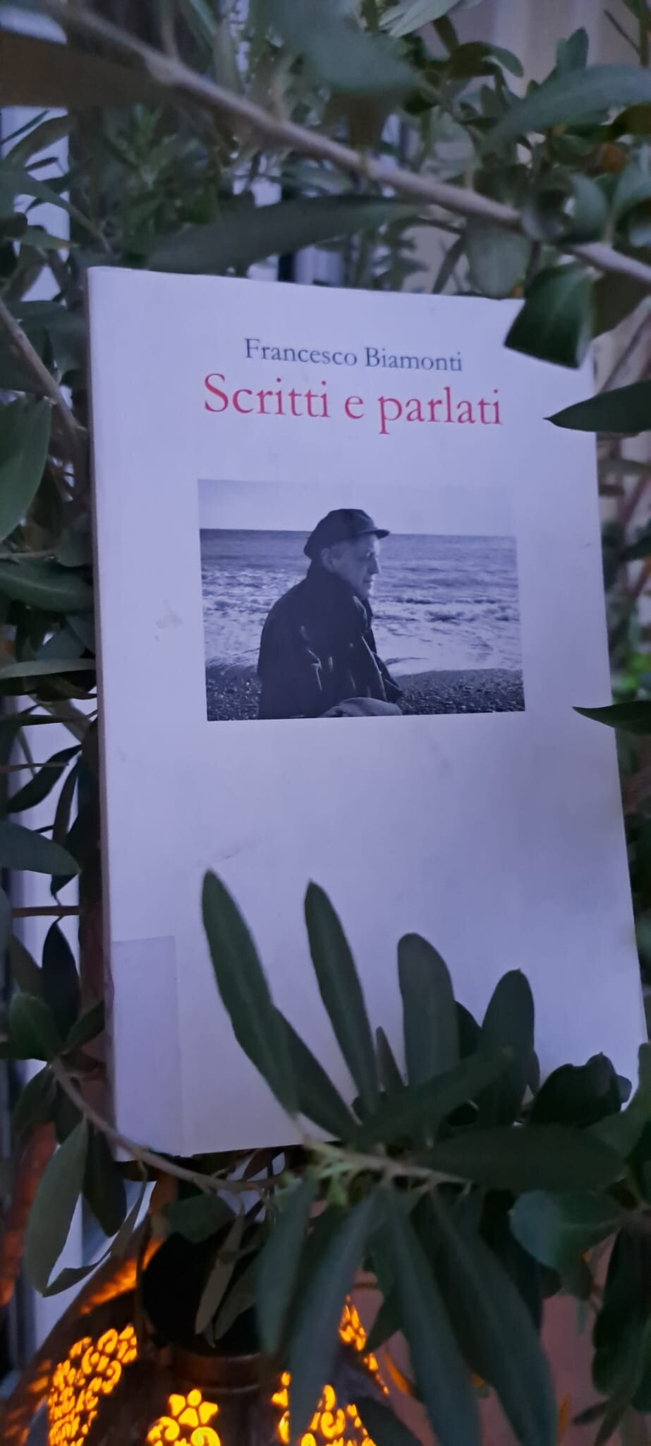 La nicchia - numero 119 - Biamonti: una raccolta di saggi, inediti, interviste, trascrizioni di interventi